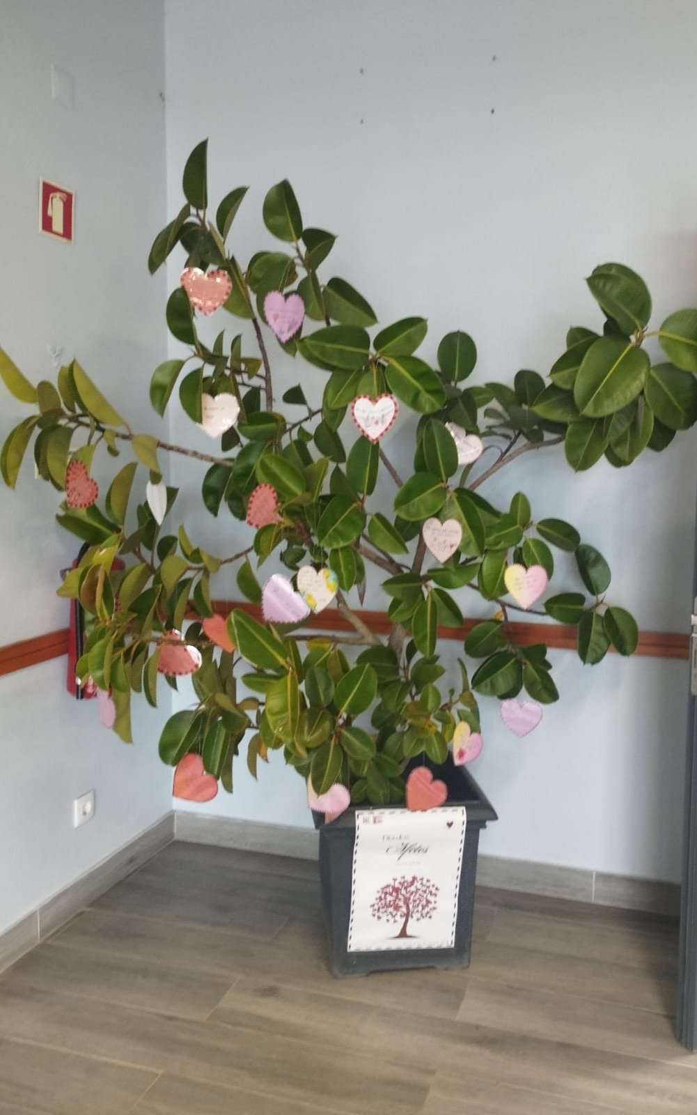 A Árvore dos Afetos