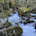 Trilho - PR2 FAF - As Aldeias das Margens do Rio Vizela, Fafe